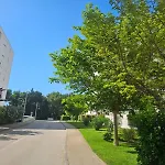 Romeo Zadar